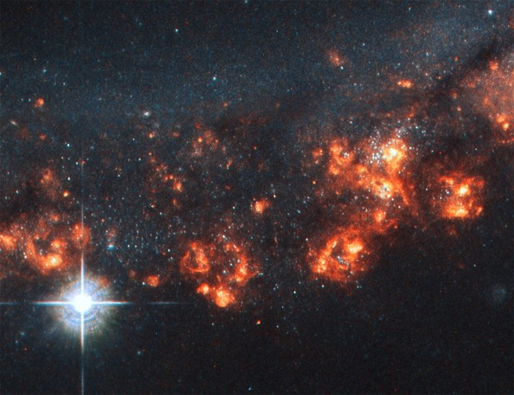 2c97a0a4c65ce37d7c0bfac1b223ea83-6674630