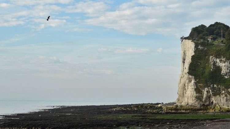 6c8403dde5f80742dc70975c1373b892-5093647