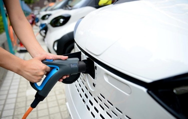 d1501a101a0155e4df1d1d8e3d0a2ebc-8908435