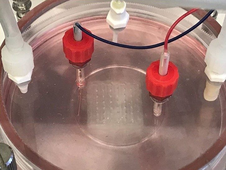 80affe715c2a3881a961e7f3601acd9a-5923077