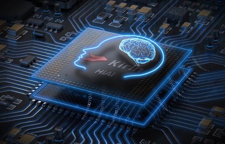 ed338fa855eae42e56a15e9b825a8ec8-2759303