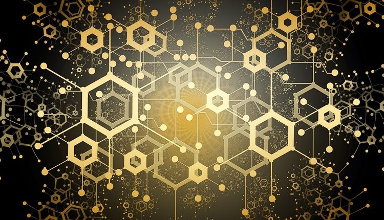 2af6b0031787daef1cc3ca079d2726d9-7128271