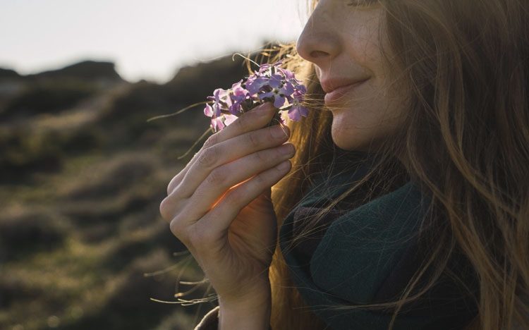 3ba2376eb16cbdcad0a60da4f8926f0a-9368820