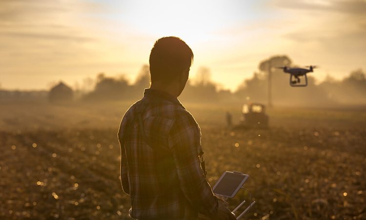 626a9167b8a445293a9dafad7829c523-6387279