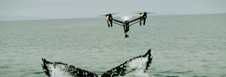 7920301cdde592a7dbcd2c00083e5267-2068163