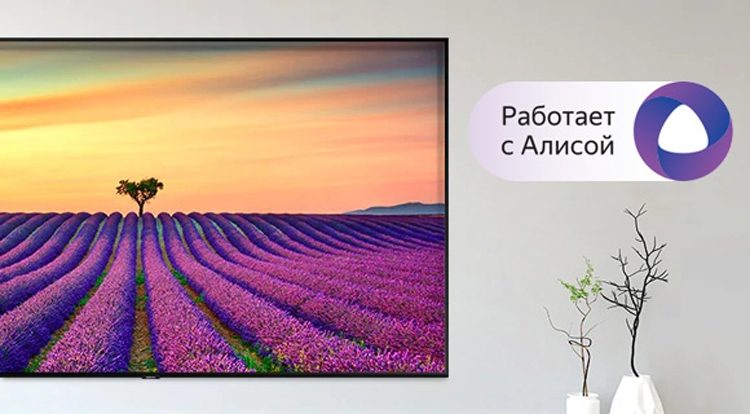 853e6686810f19d8d53aacb4085acf7b-4139077