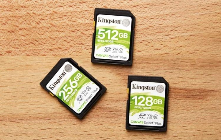 d41f4bede84f27ce199ffc83afa41e1b-3032069