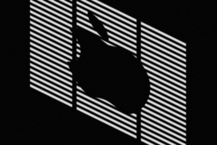 de4188a9b5cddf43849a70d72579677e-9620186