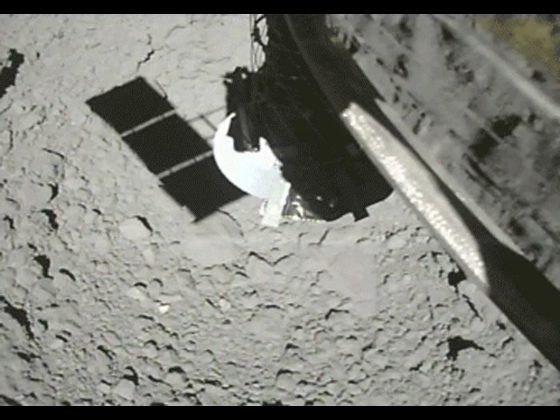 1132b9328121f8c5956d420b60d19d17-8204594