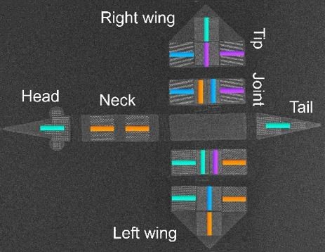 5d0f6fb6b5ed4091815c952346f9c680-5581104