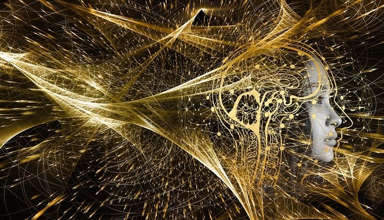 65dd4ec15d4253bbd4056fc7f081b0de-1500856