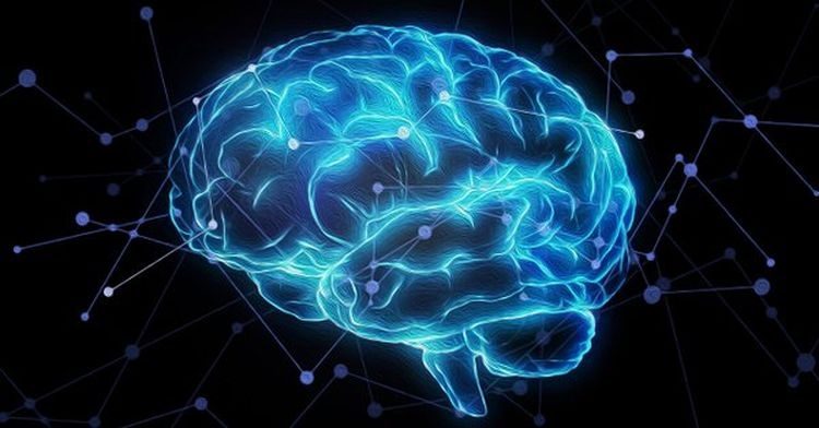 7e546bed8ada8ca21062b40dc90a1e36-7021854