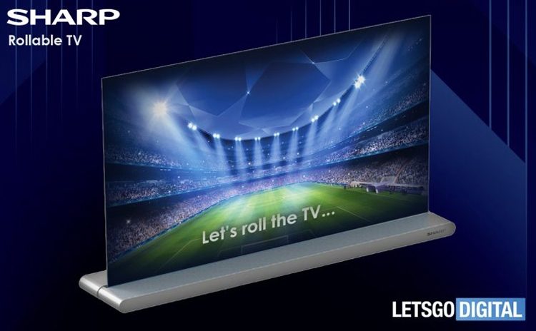 c4065208f4c065e9835d7a191d762542-2265231