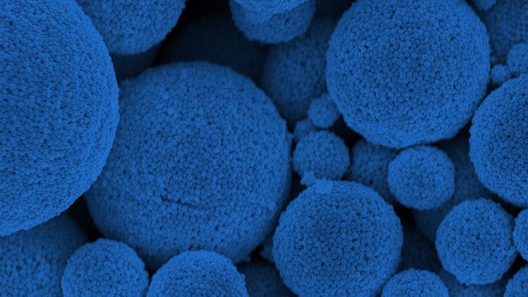 113cddbb86295bd1b1efdca4b5f1d27b-5831009