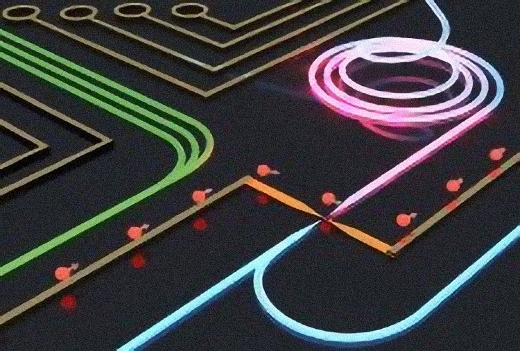 3239e4a75c59bc8ef69b7207355ff95b-2395550