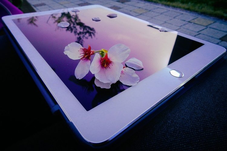 3ceec2ffebf0cad540e25f5cf0d05539-4867304