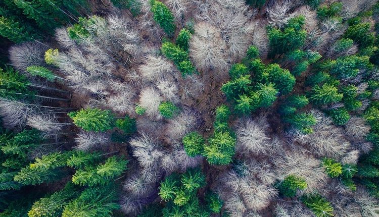 4f73f398aafe8eb7cbbc3d216c317a77-3585686