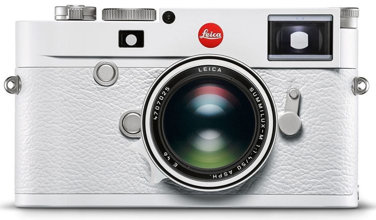 97c056572feea399d0ee27ec63f1f600-6500389