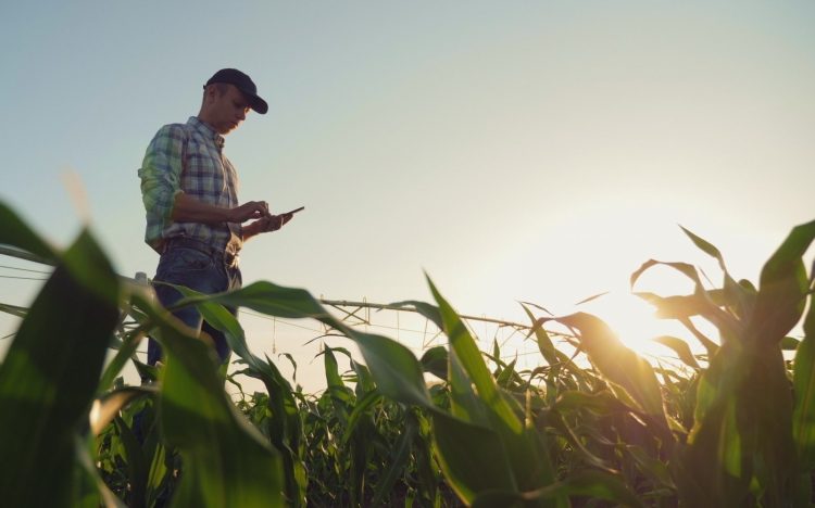 a1352a0d1ec5aee9411f455bbe45a75b-3723467