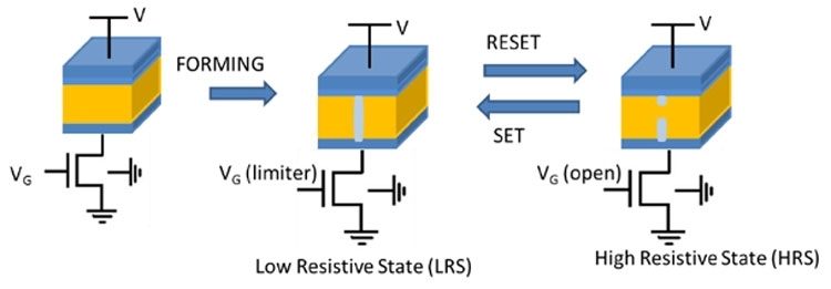 bb437730deda978060e666965243be9a-6503786