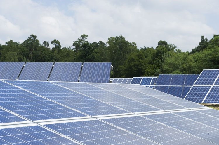 ceb256f46021ba86e9b7c2b4f3ae0ef3-2816840