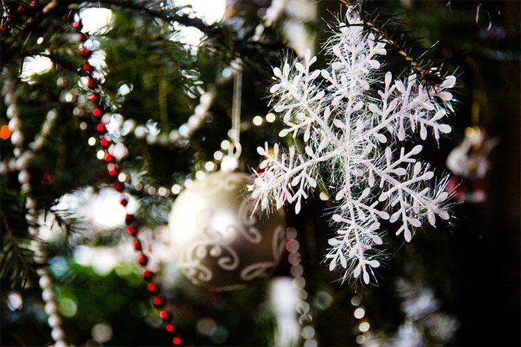 d2ec5a29ddbb36b228ff742f293d32f8-3726424