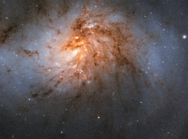 004c6c0f6f1225d9e3b12483d1d09e43-9707169