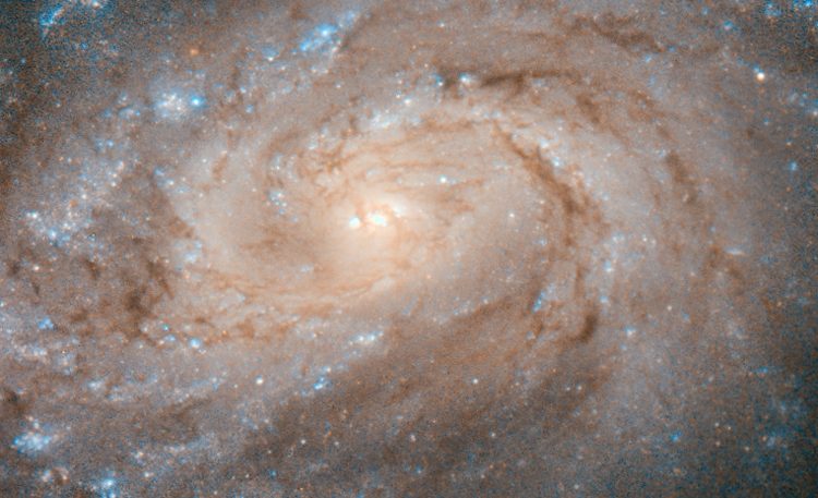 1f32b6c9237b78dd758c924eaa50ae69-7633479