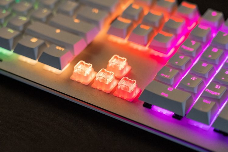 5b003e4b5a8f93ce43e0bbcc602d726d-6183249