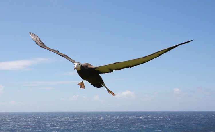 a2fb737083d7564fb7f3d7af4eb09847-4411763