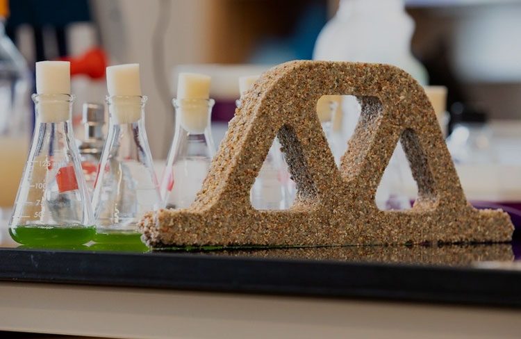 d8a777c4064a9f9e8ed0322ab7e7ff39-5588384