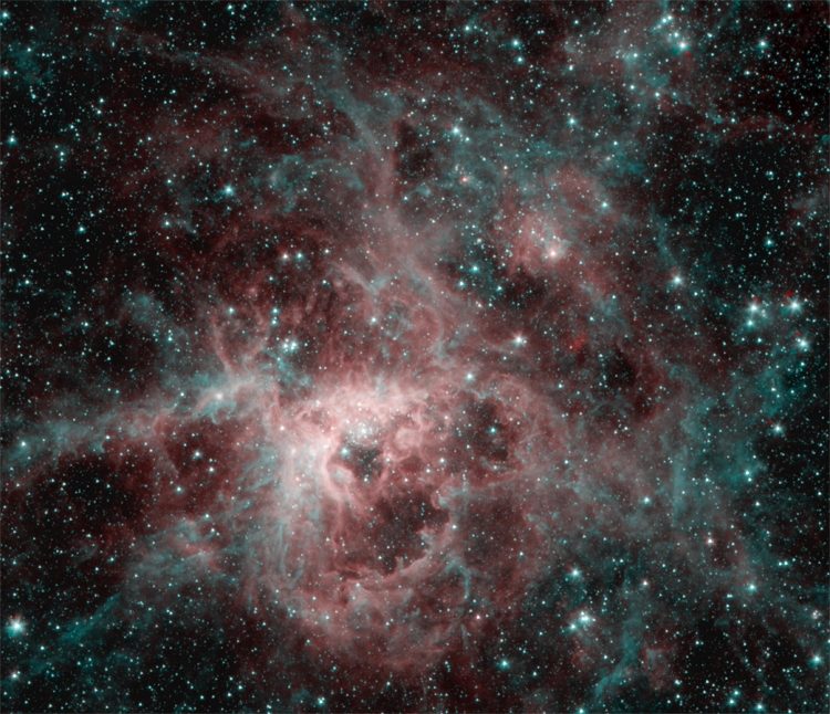 193159693d490925564183244e929137-3989676