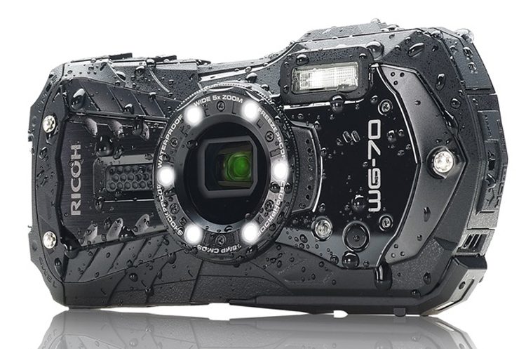 4c83b71bca05b7694e2a55b41a7eb528-8761839