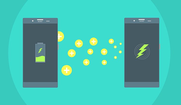 e3129f5c76dc80c2baea625b4e8aff3d-5258379