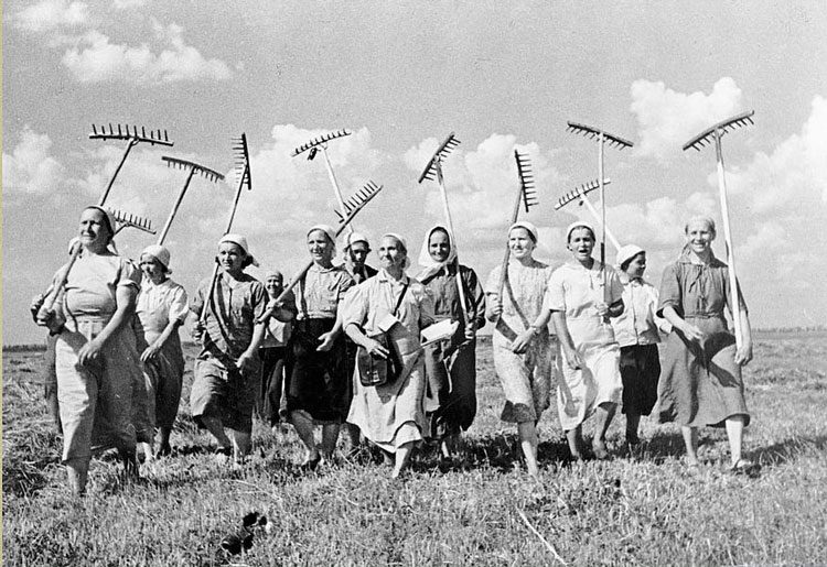 04943d3e735f9550514a25b2071eece4-3499461