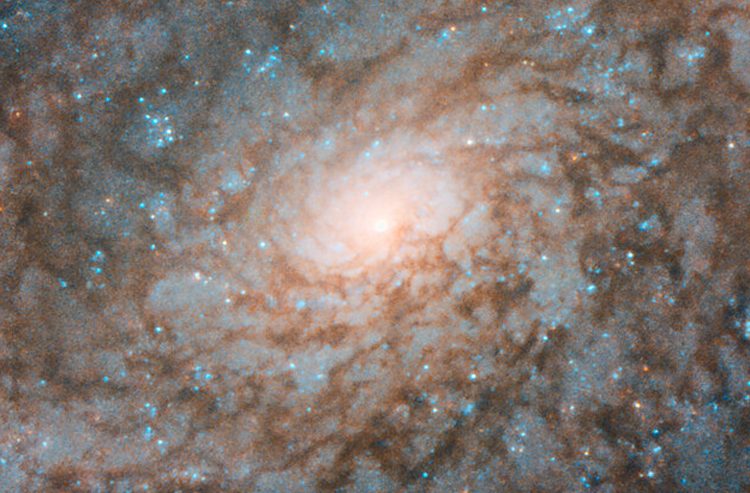 113a77ca1a981fe2c648c782c67ffba3-4601729