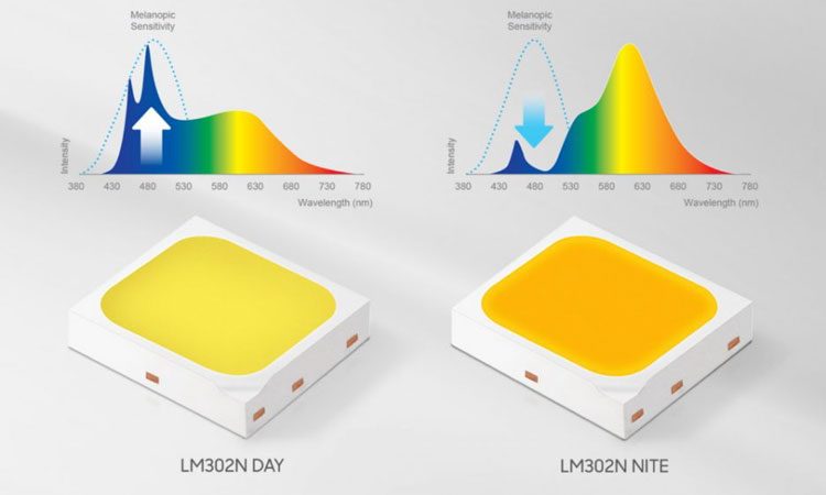 2ea793306dc388f53eb951e1cc752c7c-8776031