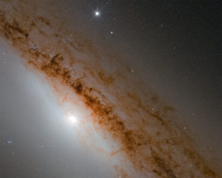 6730f039d142fd0a94eeea7526365c51-2408888