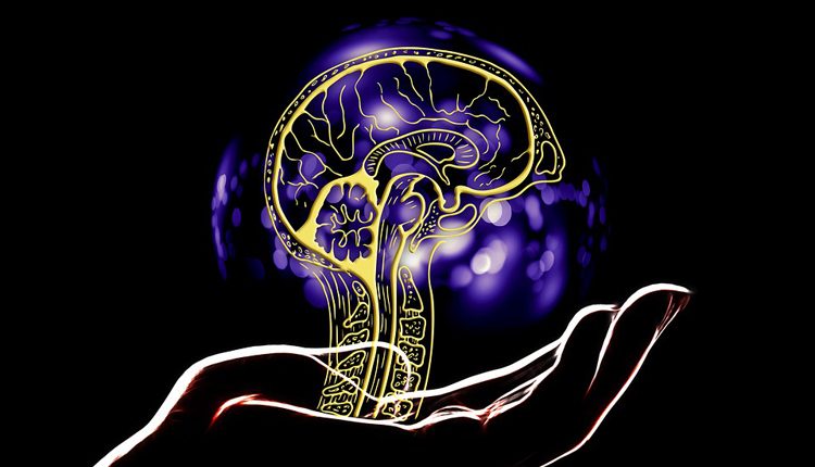 ee2109d49a8b26c500f3673d86e5442f-2537092