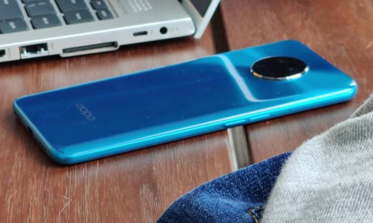 fa950635ff2bfea1a579bf877a0a258e-1642781