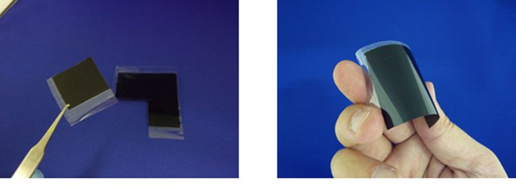 04d4a87df7d70258e7d8c71a6d03a49b-2524305