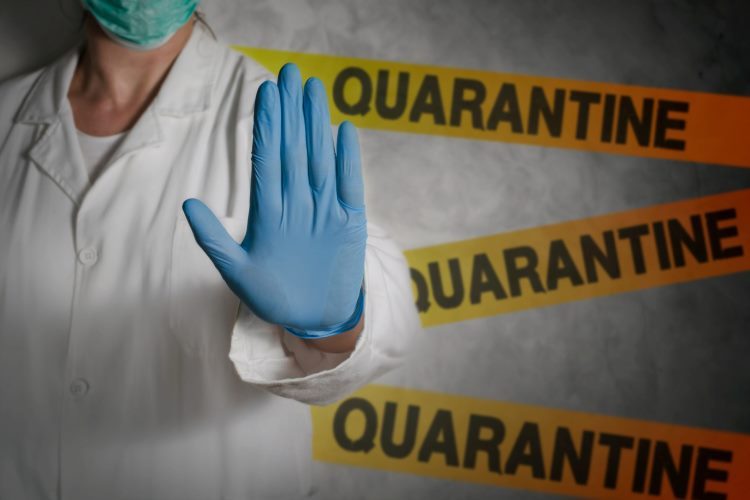 8ca81a797ea8d8202a5e5c5ea75973be-1316302