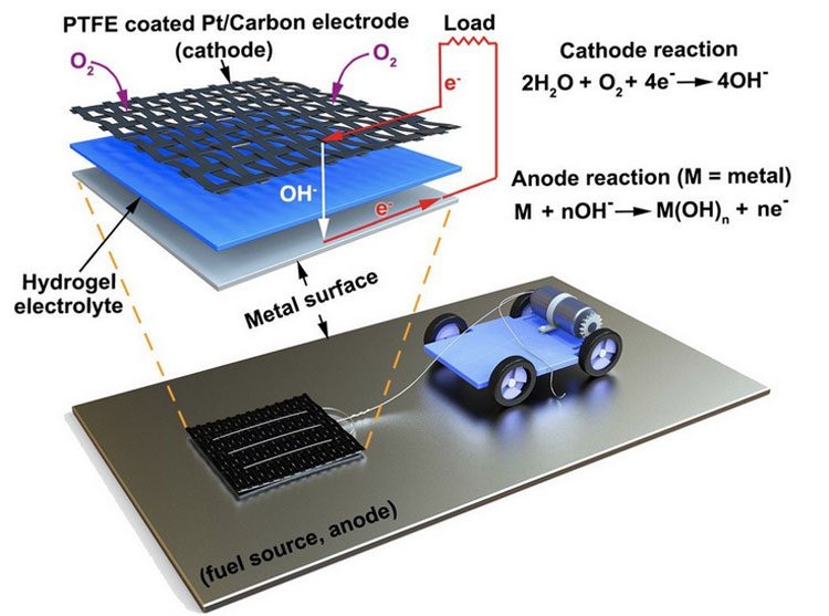 e230b9c7be456d6c2a90846e59347f4e-4094579