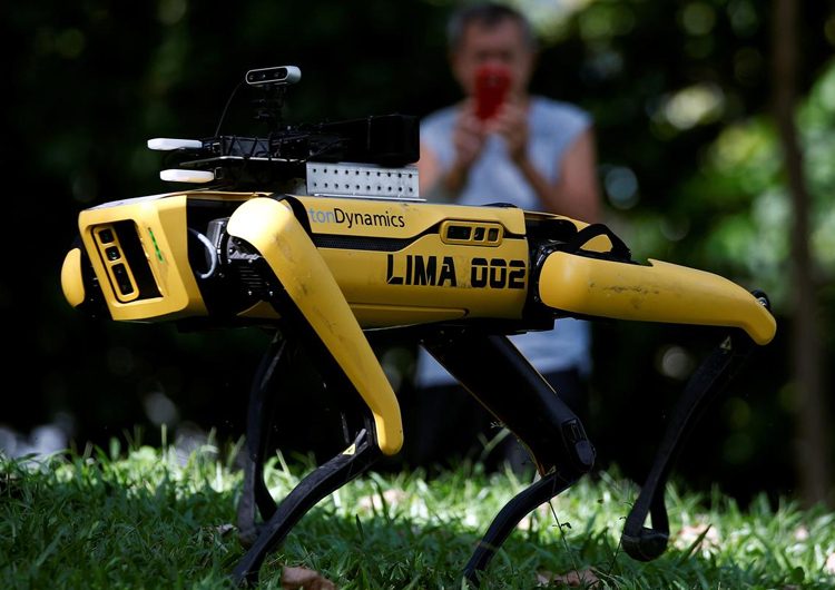 16cacf7719ebef4d715bf139f2273f95-5454809