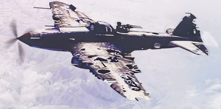 5458e4eaec3ffcdf8e89933e4e9b8952-3336693