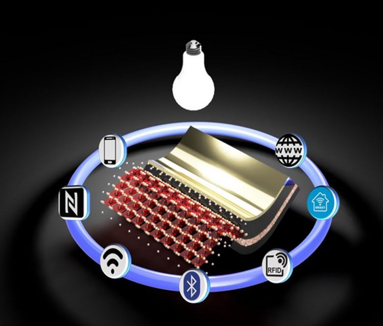 c636118aadebeb3fb47cb1df01f730a3-7797800