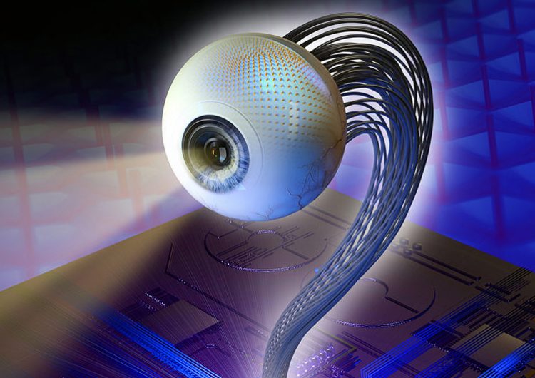 f8c3b755f7fa033b52199b56b3fd75cc-2067527