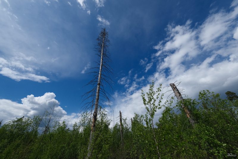 m2flmtjhnteyode1mjgxzjczmgq0mju4nje4y2mwyjy5yjgxzdfjowm4zjg0nzvmnmjmywjlmzdmmzcyowm5mwsm-blue_-800-2659665