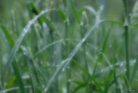 mdhkm2mwymmwnzmwnje2nje2yzu5mgvkm2q4yzkymza3nzczmzg4nmuzotbkogjlywfkngjmytg2zmjinzfjmasm-filters_3-200-3541742