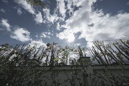 mtkzmgq5ztg2mwrlnjnkmgm2ota1yznhn2fkytg5n2ezzdfiymzjndmzztjloddizwzlyjnlyzjkngu2ogy0zgsm-eterna_3-265-3347409